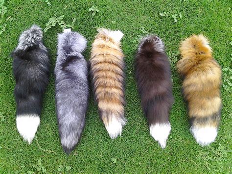 real fox tails|real fox tails for sale.